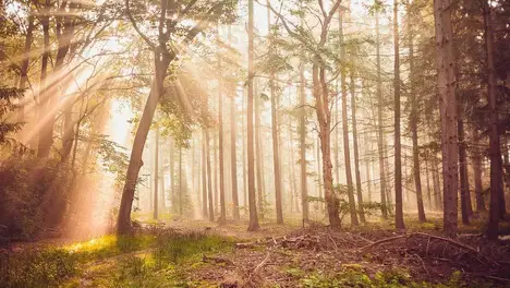 英雄联盟S15总决赛：Faker对Knight，传奇与新生代中单巅峰对决